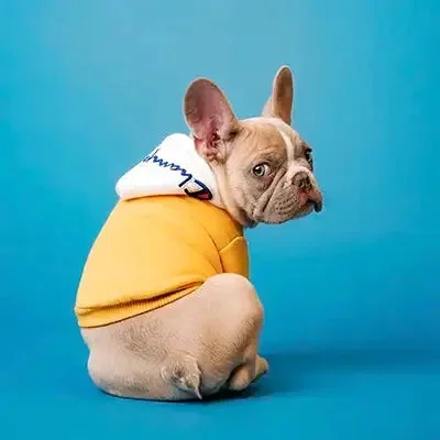 Geschenk für Hunde und Katzen
