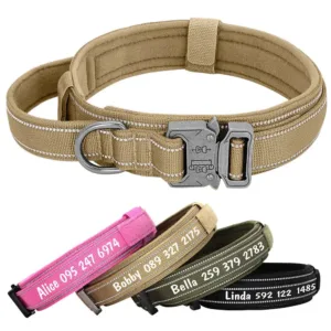 collier personnalise pour gros chien collier pour chien