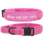 Halsband für große Hunde mit individueller Gravur - Image