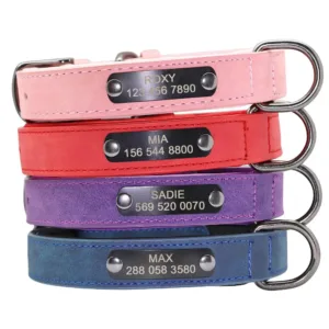 collier gros chien personnalise collier pour chien