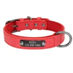 collier gros chien personnalise rouge xs collier pour chien 2