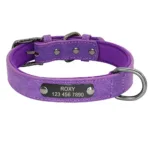Halsband für große Hunde mit Namen personalisiert - Image