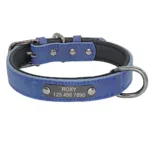 Halsband für große Hunde mit Namen personalisiert - Image