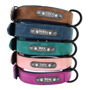 collier chien personnalise cuir