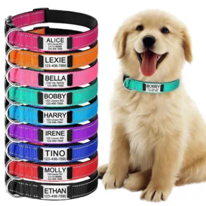 Collier pour chien personnalise