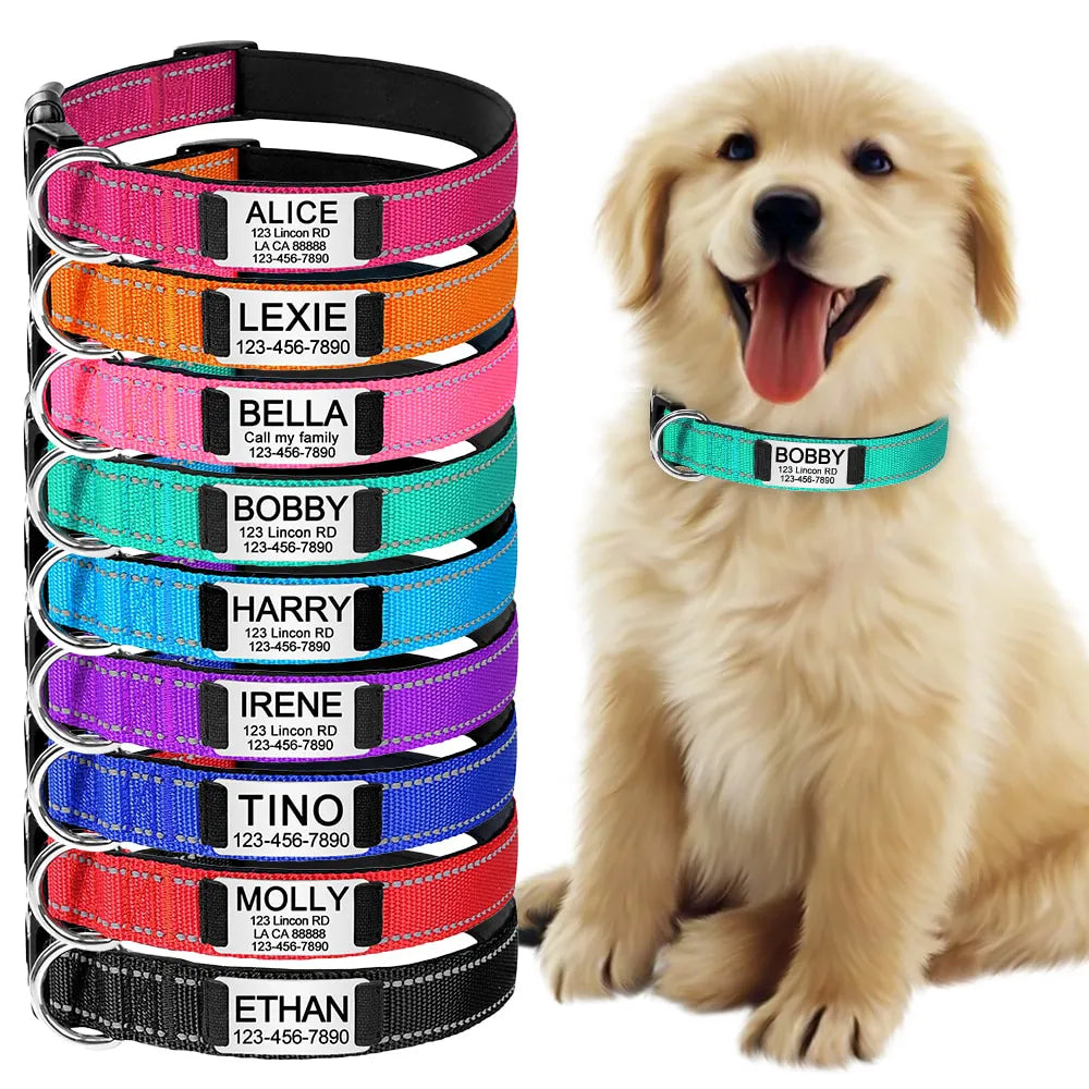 Collier pour chien personnalise