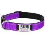 Halsband für Hunde mit Personalisierung - Image