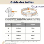 Halsband für Hunde mit Personalisierung - Image