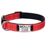 Collier pour chien personnalise rouge