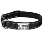 Halsband für Hunde mit Personalisierung - Image