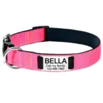 Halsband für Hunde mit Personalisierung - Image