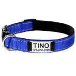 Halsband für Hunde mit Personalisierung - Image