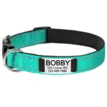 Halsband für Hunde mit Personalisierung - Image