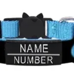 Halsband für individuelle Katzen - Image