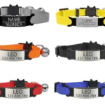 Halsband für individuelle Katzen - Image