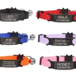 Collierchatpersonnalisenylon