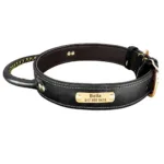 collier pour chien de chasse grave noir
