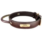 Halsband für Jagdhund mit Gravur - Image