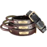 Halsband für Jagdhund mit Gravur - Image