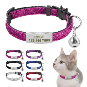 collier chat personnalisable anti etranglement