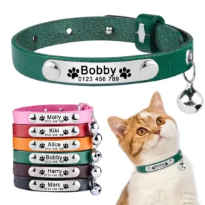 collier chat cuir personnalisable