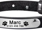 collier chat cuir personnalisable noir