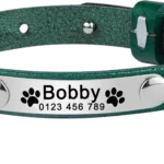 Halsband für personalisierbare Katze aus Leder - Image