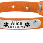Halsband für personalisierbare Katze aus Leder - Image