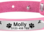 Halsband für personalisierbare Katze aus Leder - Image