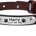 Halsband für personalisierbare Katze aus Leder - Image