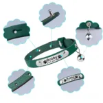 Halsband für personalisierbare Katze aus Leder - Image