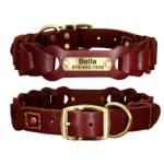 collier chien chasse grave marron
