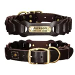 Halsband Hund Jagd Gravur - Image
