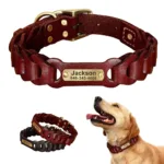 Halsband Hund Jagd Gravur - Image
