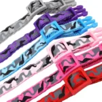 Halsband Hund mit Gravur des Namens - Image