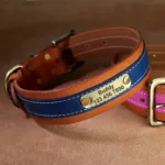 collier chien avec prenom bleu