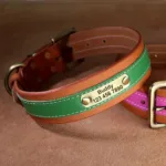 Halsband Hund mit Namen - Image