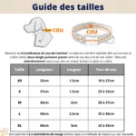 Halsband Hund mit Namen und Telefonnummer Leder - Photo 10