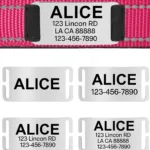 Halsband Hund Personalisiert - Photo 11