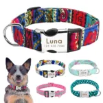 collier chien personnalise nylon