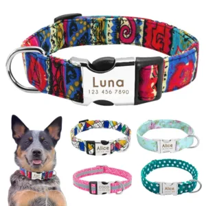 collier chien personnalise nylon