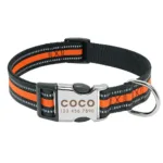 Halsband Hund Personalisiert mit Namen - Image