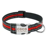 Halsband Hund Personalisiert mit Namen - Image