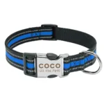 Halsband Hund Personalisiert mit Namen - Image