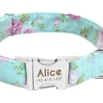 Halsband Hund Personalisiert mit Namen - Image