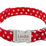 Halsband Hund Personalisiert mit Namen - Image