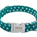Halsband Hund Personalisiert mit Namen - Image