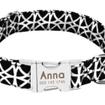Halsband Hund Personalisiert mit Namen - Image