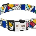 collier chien personnalise picasso