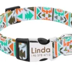 Halsband Hund Personalisiert mit Namen - Image